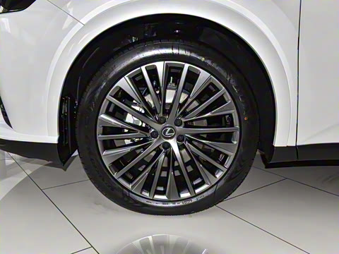 2026�� 350h ����������