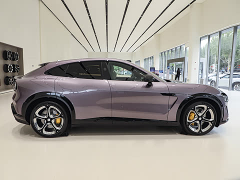 2025�� Max��