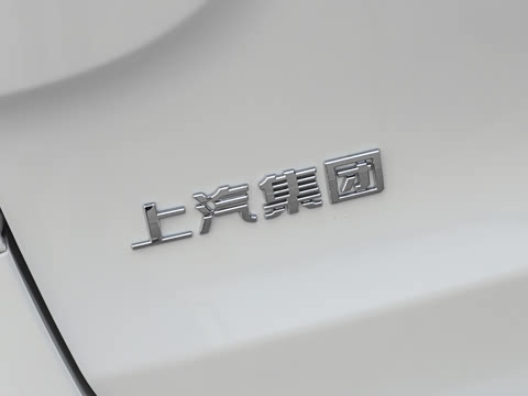 2025�� 2.4L �ֶ��߼����а� CNG 7��