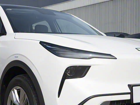 2025�� 565km ������