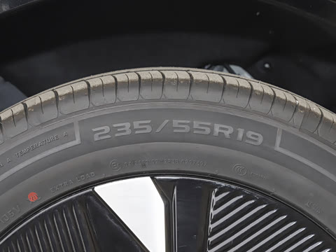 2025�� ����600 Pro