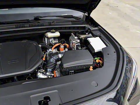 2026�� 125km�ǽ���