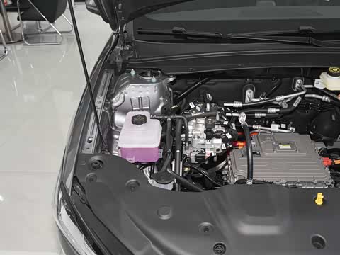 2026�� 530 �������а�