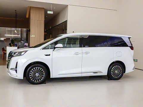 2025�� DM-i ��������