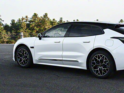 2026��   95������ Max��