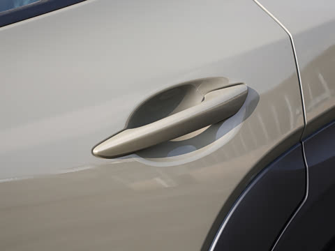 2026�� 2.5L ���а�