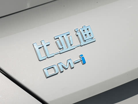 2026�� DM-i 305Զ����