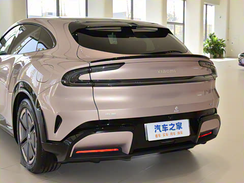 2025�� ������������Pro��