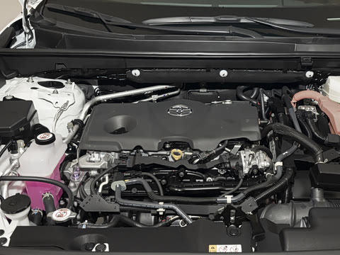 2024�� ˫�� 2.5L E-CVT��������