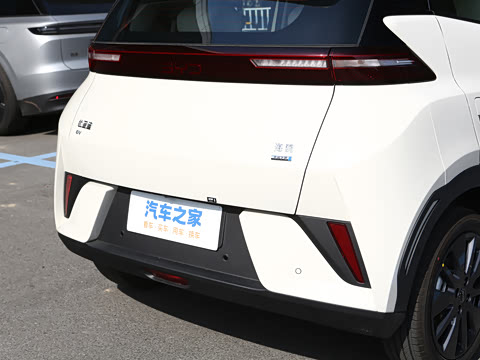 2026�� 305km ���ɰ�