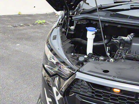 2025�� �Զ�������