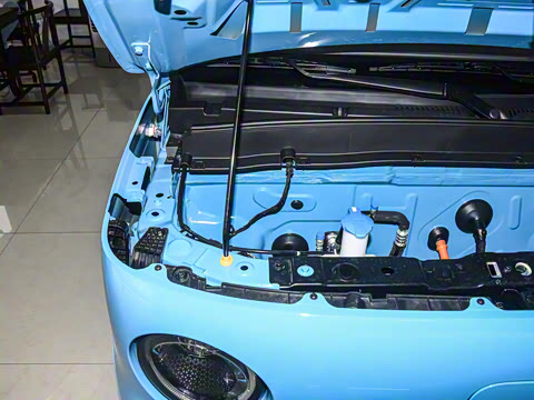 2025�� ������