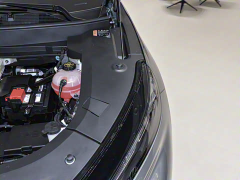 2025�� 545KM������