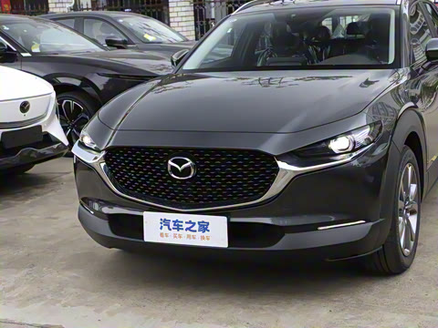 2025�� 2.0L �Զ�������