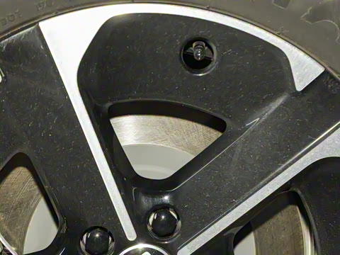 2025�� ���� Max ������