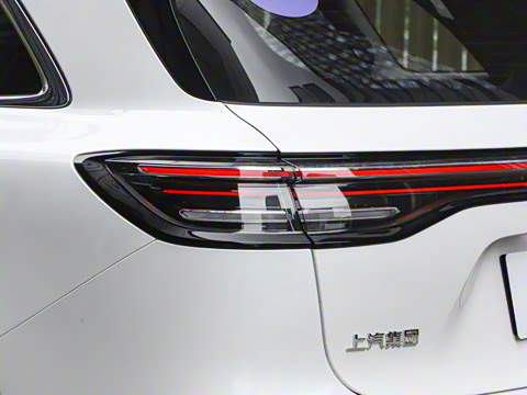 2025�� ���� Max ������