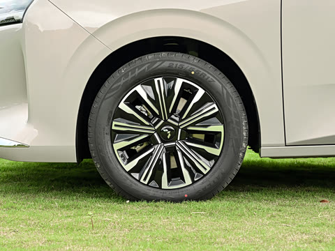 2026�� ��� 125km ������