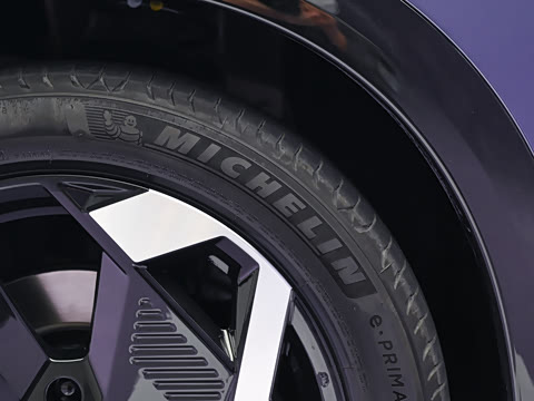 2026�� ���� 81kWh