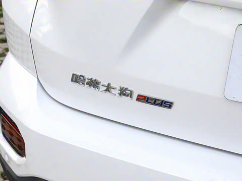 2026�� 2.0T ������Ұ��