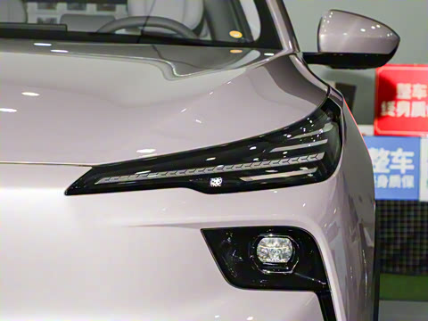 2025�� 565km ������