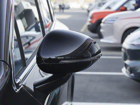 2025�� ���� Pro