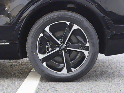 2025�� ���� Pro