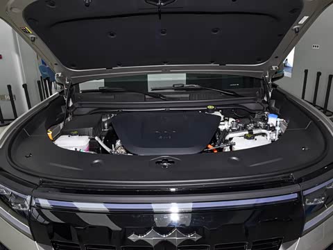 2025�� ���º����� 5��