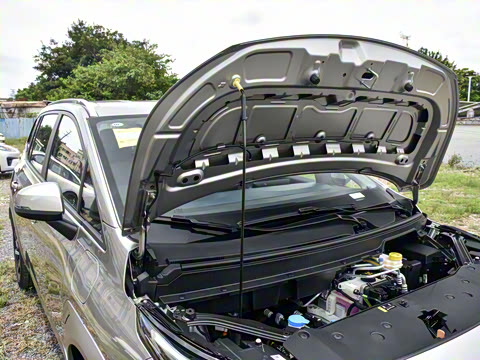 2025�� Plus 610 ������