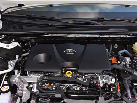 2026�� ˫�� 2.0HGVP ������