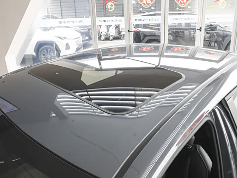 2026�� ����L 185T ������