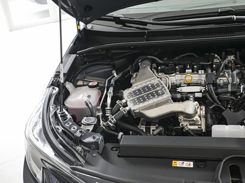 2026�� ����L 185T ������