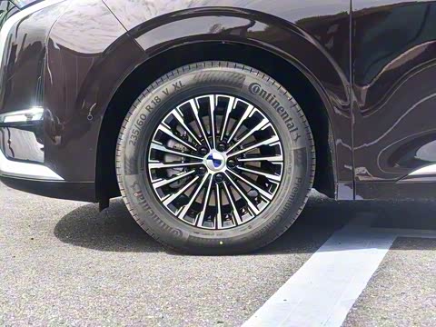 2025�� DM-i ��������