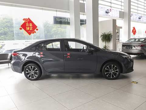 2026�� ����L 185T ������