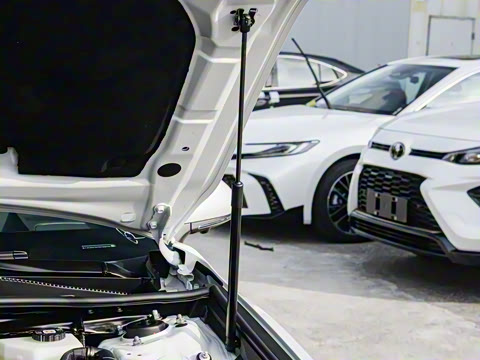 2026�� ˫�� 2.5HXS �˶�Plus��