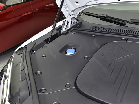 2025�� 565�����ȷ��