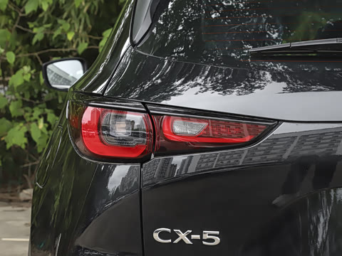 2025�� 2.0L �Զ���������Pro