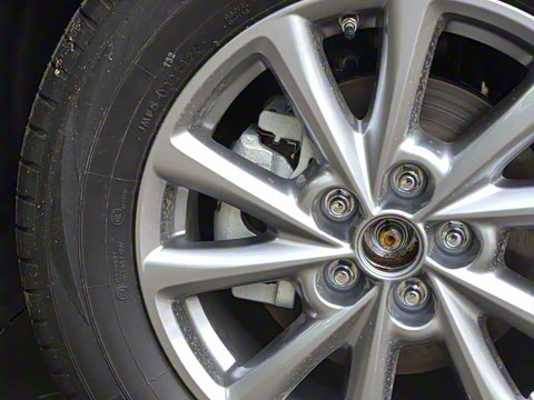 2025�� 2.0L �Զ���������Pro