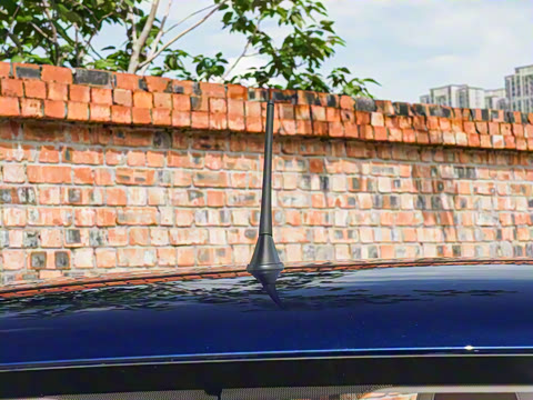 2026�� 222km ��ҫ��