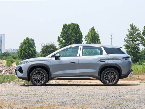 2026�� DM-i 205KM ������