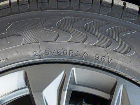 2026�� Ӱ�� 270T ��ȡ��