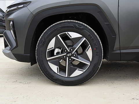 2025�� ;ʤL 1.5T ����