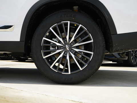 2025�� 290TGDI DCT����� 