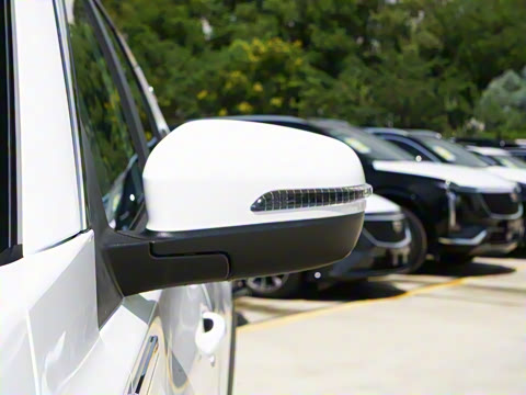 2025�� 290TGDI DCT����� 