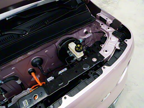 2025�� ������