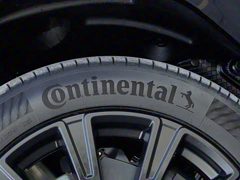 2025�� ������