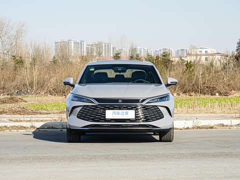 2026�� DM-i 210KM��Խ��