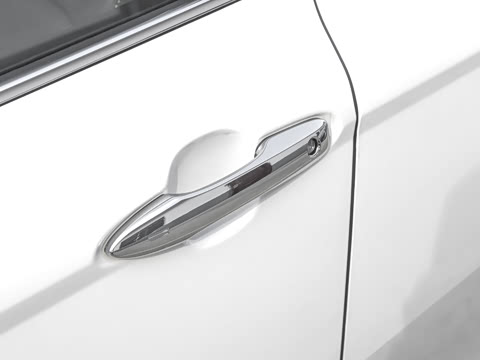 2026�� ˫�� 2.5HG ����