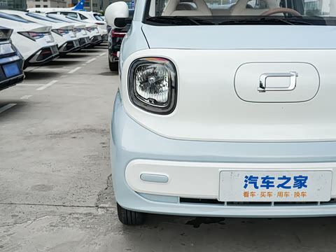 2026�� 222km ��ҫ��