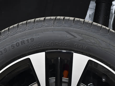 2026�� �����