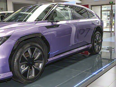 2025�� ����������Pro